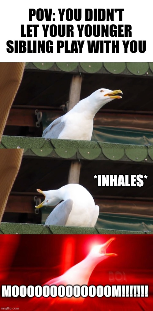Inhaling seagull | POV: YOU DIDN'T LET YOUR YOUNGER SIBLING PLAY WITH YOU; *INHALES*; MOOOOOOOOOOOOOM!!!!!!! | image tagged in inhaling seagull,memes,funny,relatable,siblings,funny memes | made w/ Imgflip meme maker