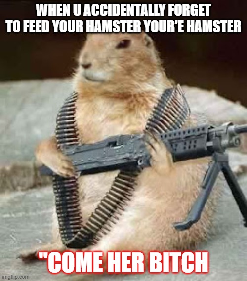 hamster | WHEN U ACCIDENTALLY FORGET TO FEED YOUR HAMSTER YOUR'E HAMSTER; "COME HER BITCH | image tagged in hamster | made w/ Imgflip meme maker