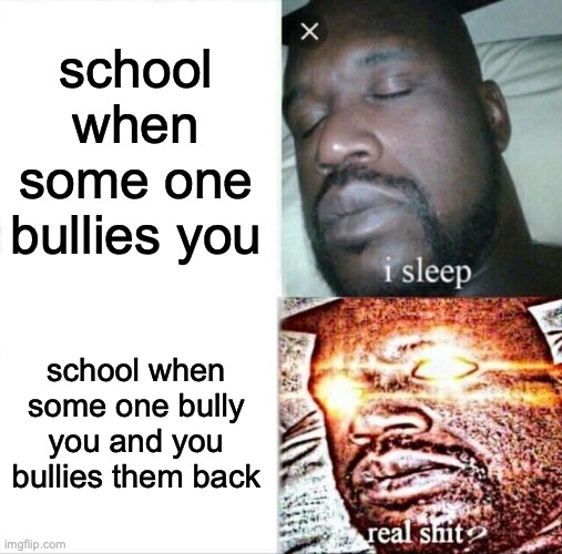 qua | school when some one bullies you; school when some one bully you and you bullies them back | image tagged in memes,sleeping shaq | made w/ Imgflip meme maker