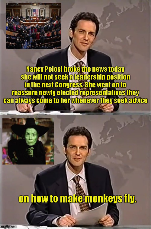 Nancy steps down and away from the pail of water | Nancy Pelosi broke the news today she will not seek a leadership position in the next Congress. She went on to reassure newly elected representatives they can always come to her whenever they seek advice; on how to make monkeys fly. | image tagged in weekend update with norm,nancy pelosi,wicked witch,the wizard of oz,political humor | made w/ Imgflip meme maker