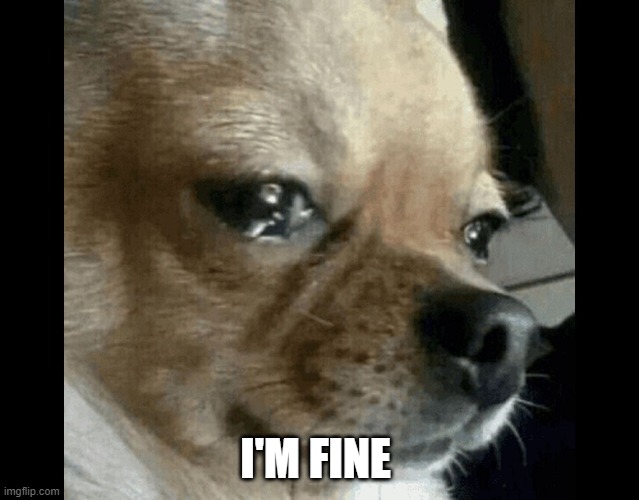 dog crying | I'M FINE | image tagged in dog crying | made w/ Imgflip meme maker