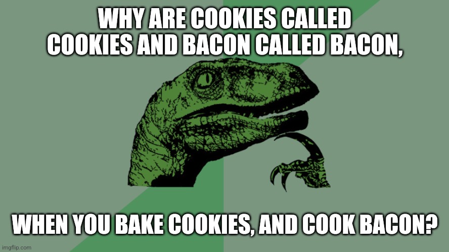 So...bakies and cookon, anybody? | WHY ARE COOKIES CALLED COOKIES AND BACON CALLED BACON, WHEN YOU BAKE COOKIES, AND COOK BACON? | image tagged in philosophy dinosaur | made w/ Imgflip meme maker