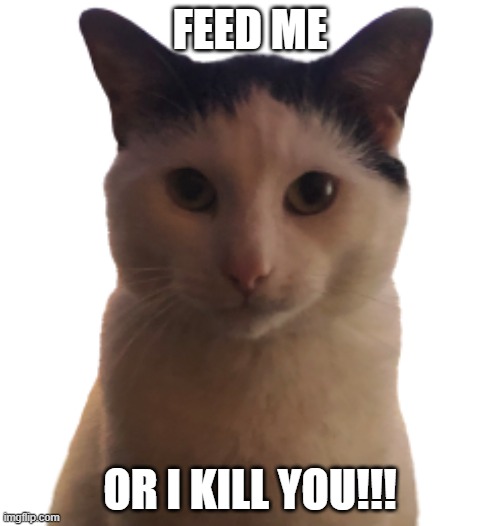 feed me | FEED ME; OR I KILL YOU!!! | image tagged in feed me | made w/ Imgflip meme maker