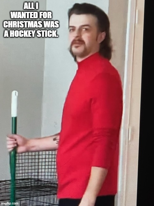 My wife got me a broom not a hockey stick | ALL I WANTED FOR CHRISTMAS WAS A HOCKEY STICK. | image tagged in my wife got me a broom not a hockey stick | made w/ Imgflip meme maker