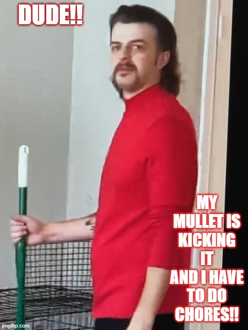 My wife got me a broom not a hockey stick | DUDE!! MY MULLET IS KICKING IT AND I HAVE TO DO CHORES!! | image tagged in my wife got me a broom not a hockey stick | made w/ Imgflip meme maker