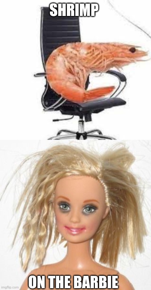 So true | SHRIMP; ON THE BARBIE | image tagged in chair shrimp,barbie estudiante | made w/ Imgflip meme maker