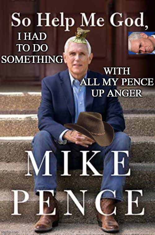 When someone cares enough to write a book telling just how great they are, you just want to vote for them. | , I HAD TO DO SOMETHING; WITH ALL MY PENCE UP ANGER | image tagged in pence | made w/ Imgflip meme maker