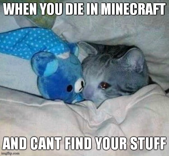 very good | WHEN YOU DIE IN MINECRAFT; AND CANT FIND YOUR STUFF | image tagged in crying cat | made w/ Imgflip meme maker