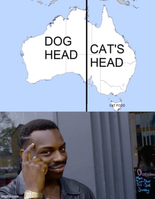 dog cat | image tagged in memes,roll safe think about it | made w/ Imgflip meme maker