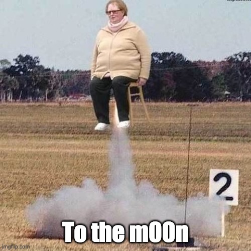 To the m00n | To the m00n | image tagged in to the moon | made w/ Imgflip meme maker