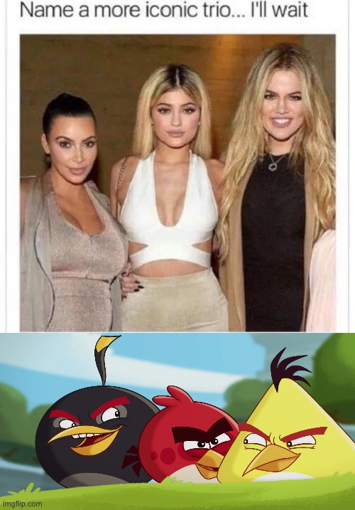 Ok, sure | image tagged in name a more iconic trio,angry birds | made w/ Imgflip meme maker