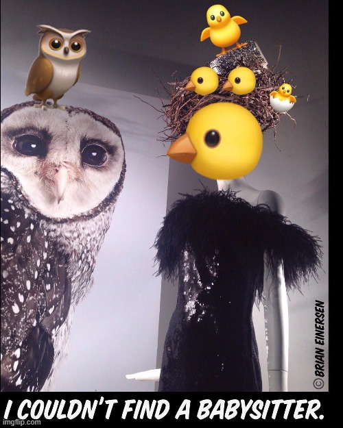 Night Owls | image tagged in fashion,window design,bergdorf goodman,hot chick,emooji art,brian einersen | made w/ Imgflip meme maker
