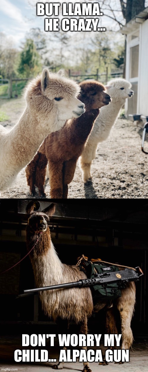 Llama He Crazy Imgflip Llama He Crazy Imgflip