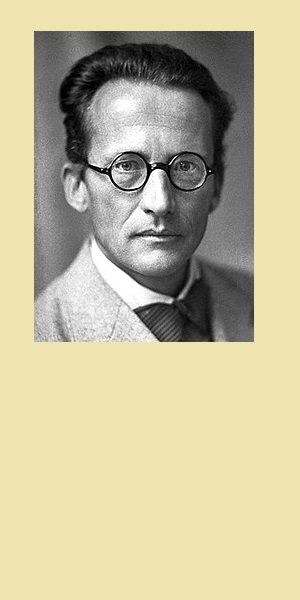 Erwin Schrödinger Blank Meme Template