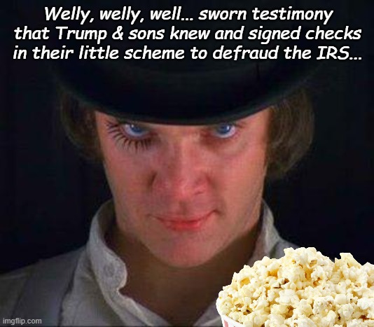 And after all these months of the cult screaming denials... | Welly, welly, well... sworn testimony that Trump & sons knew and signed checks in their little scheme to defraud the IRS... | image tagged in crooks,liars,justice,orange jumpsuits | made w/ Imgflip meme maker