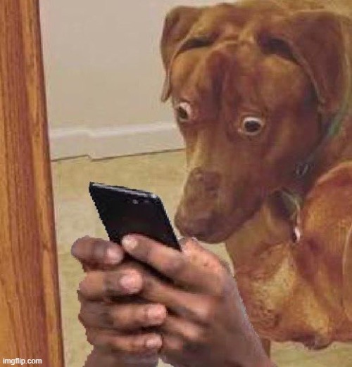 scooby looking at phone | image tagged in scooby looking at phone | made w/ Imgflip meme maker