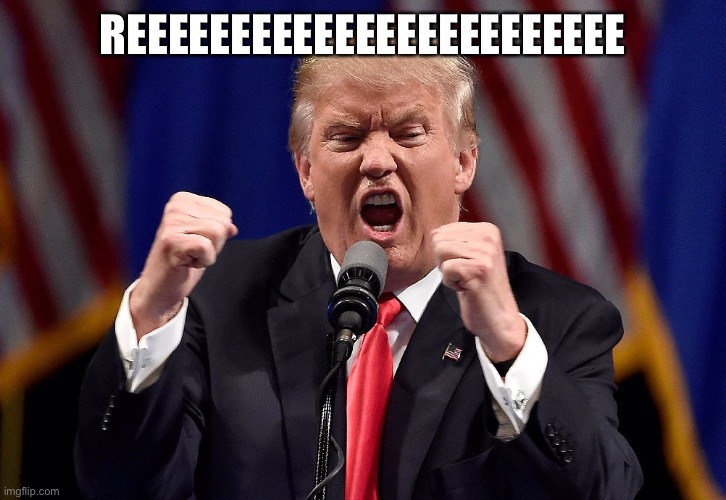 Trump angry | REEEEEEEEEEEEEEEEEEEEEEEE | image tagged in trump angry | made w/ Imgflip meme maker