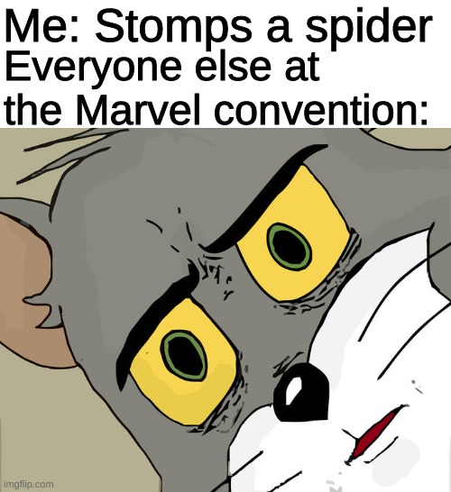 I don't understand! That spider was huge! | Me: Stomps a spider; Everyone else at the Marvel convention: | image tagged in memes,unsettled tom | made w/ Imgflip meme maker