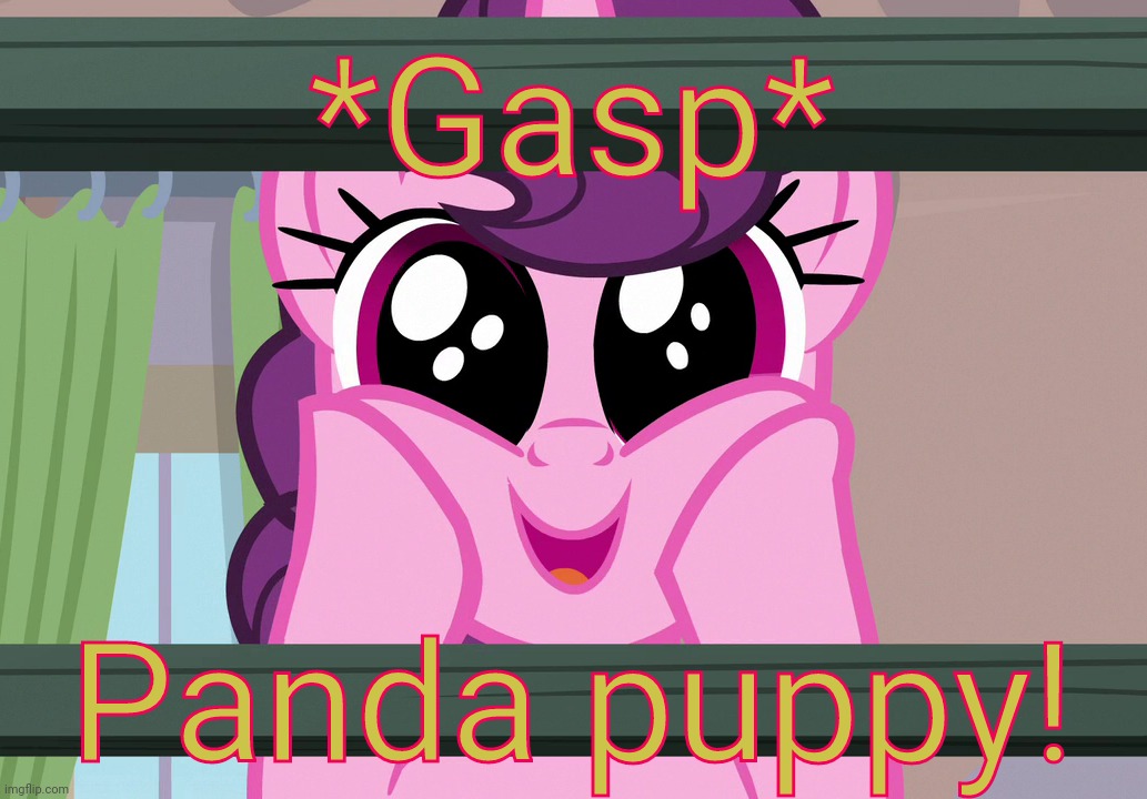 Surprised Sugar Belle (MLP) | *Gasp* Panda puppy! | image tagged in surprised sugar belle mlp | made w/ Imgflip meme maker