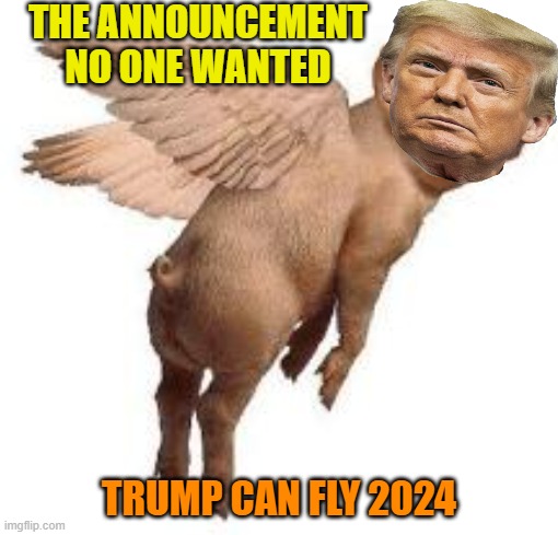 Let the sequel squeal | THE ANNOUNCEMENT NO ONE WANTED; TRUMP CAN FLY 2024 | image tagged in donald trump,maga,political meme,gop,pig | made w/ Imgflip meme maker