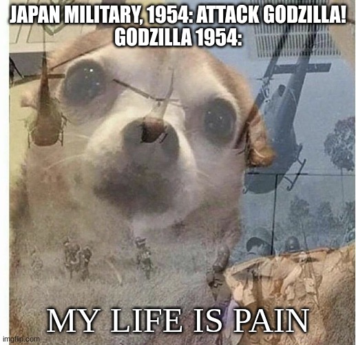 PTSD Chihuahua | JAPAN MILITARY, 1954: ATTACK GODZILLA!
GODZILLA 1954:; MY LIFE IS PAIN | image tagged in ptsd chihuahua,godzilla | made w/ Imgflip meme maker