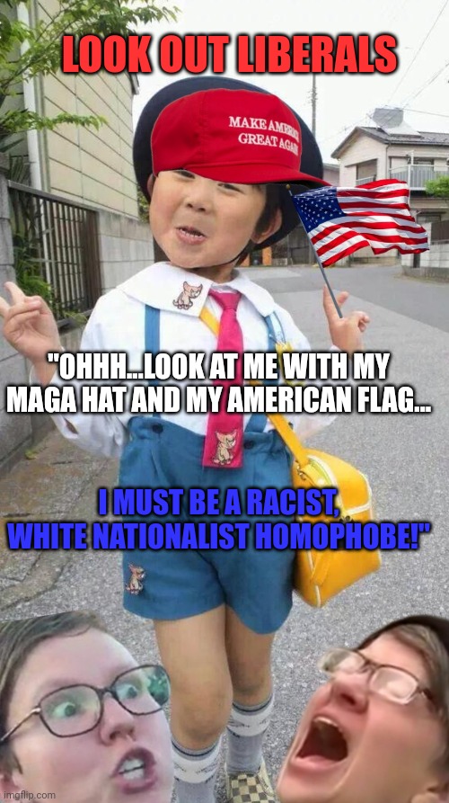 Ohhh...look at me.. | LOOK OUT LIBERALS; "OHHH...LOOK AT ME WITH MY MAGA HAT AND MY AMERICAN FLAG... I MUST BE A RACIST, WHITE NATIONALIST HOMOPHOBE!" | image tagged in liberal logic,triggered liberal,anti-semite and a racist,homophobe,woke,look at me | made w/ Imgflip meme maker