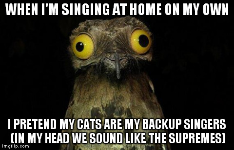 Weird Stuff I Do Potoo Meme | WHEN I'M SINGING AT HOME ON MY OWN I PRETEND MY CATS ARE MY BACKUP SINGERS (IN MY HEAD WE SOUND LIKE THE SUPREMES) | image tagged in memes,weird stuff i do potoo | made w/ Imgflip meme maker