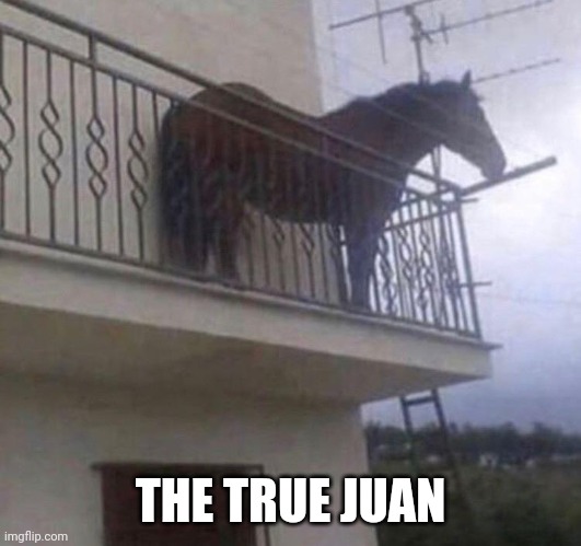 Juan | THE TRUE JUAN | image tagged in juan | made w/ Imgflip meme maker