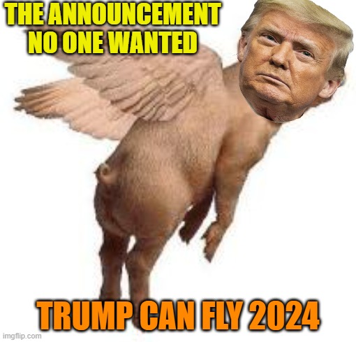Squeal sequel squeal | THE ANNOUNCEMENT NO ONE WANTED; TRUMP CAN FLY 2024 | image tagged in donald trump,maga,political meme,gop,pig | made w/ Imgflip meme maker