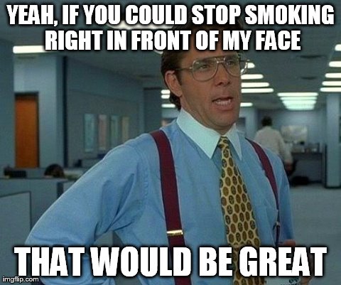 I can't stand it when people do this!!! | YEAH, IF YOU COULD STOP SMOKING RIGHT IN FRONT OF MY FACE THAT WOULD BE GREAT | image tagged in memes,that would be great | made w/ Imgflip meme maker
