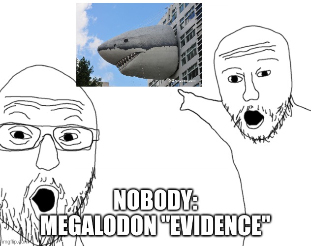 Title here | NOBODY:
MEGALODON "EVIDENCE" | image tagged in soyjak pointing,megalodon | made w/ Imgflip meme maker