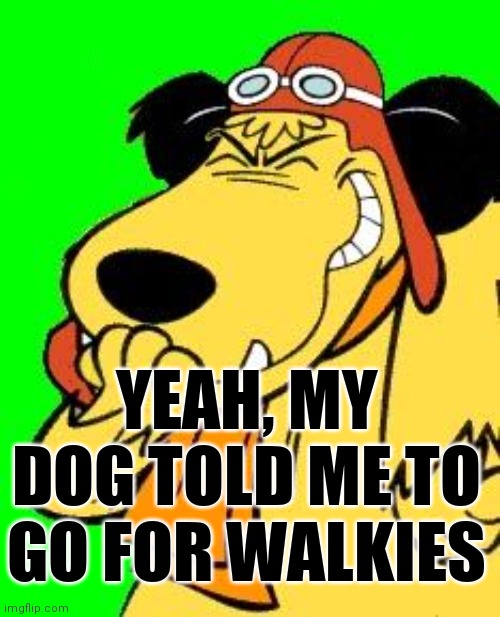 Pet Sounds | YEAH, MY DOG TOLD ME TO GO FOR WALKIES | image tagged in muttley laughing at something stupid,why,teacher what are you laughing at,evil,higher exploitation | made w/ Imgflip meme maker