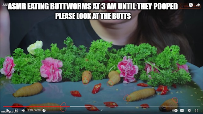 butt worms | ASMR EATING BUTTWORMS AT 3 AM UNTIL THEY POOPED; PLEASE LOOK AT THE BUTTS | image tagged in worms | made w/ Imgflip meme maker