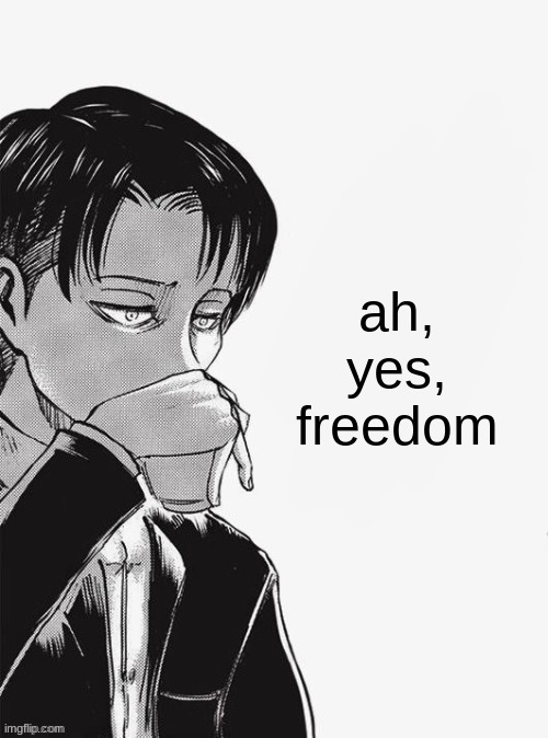 Levi sipping tea | ah,
 yes, 
freedom | image tagged in levi sipping tea | made w/ Imgflip meme maker