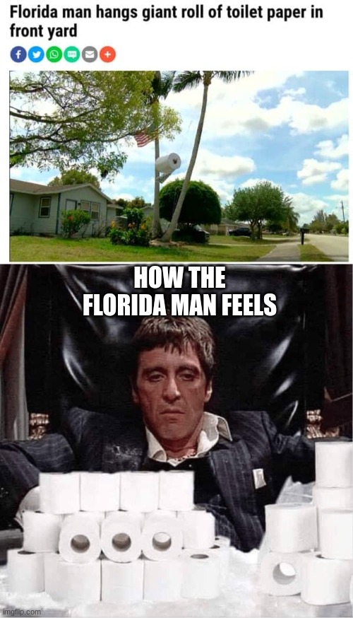 big toilet paper or a lot of toilet paper? | HOW THE FLORIDA MAN FEELS | image tagged in scarface covid-19 | made w/ Imgflip meme maker