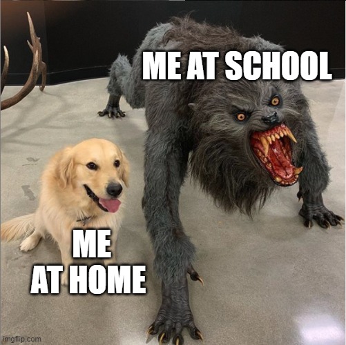 Brett E Metcalf | ME AT SCHOOL; ME AT HOME | image tagged in dog vs werewolf | made w/ Imgflip meme maker