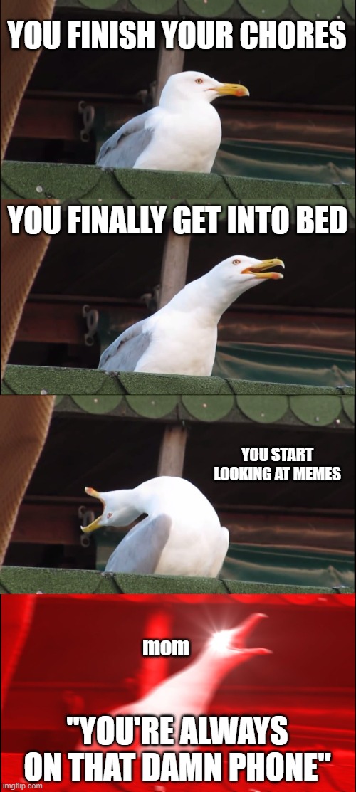 we gonna fade mom | YOU FINISH YOUR CHORES; YOU FINALLY GET INTO BED; YOU START LOOKING AT MEMES; mom; "YOU'RE ALWAYS ON THAT DAMN PHONE" | image tagged in memes,inhaling seagull | made w/ Imgflip meme maker