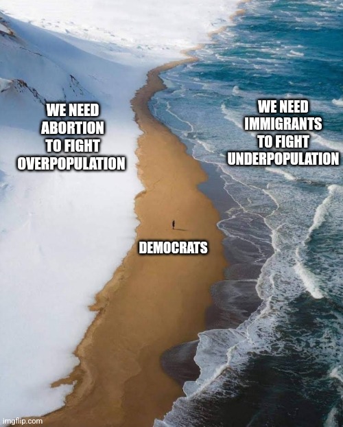 The odds | WE NEED ABORTION TO FIGHT OVERPOPULATION; WE NEED IMMIGRANTS TO FIGHT UNDERPOPULATION; DEMOCRATS | image tagged in the odds | made w/ Imgflip meme maker