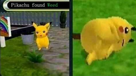pikachu found weed Blank Meme Template