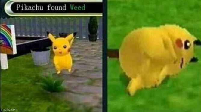 PIKACHU NO | image tagged in pikachu found weed | made w/ Imgflip meme maker
