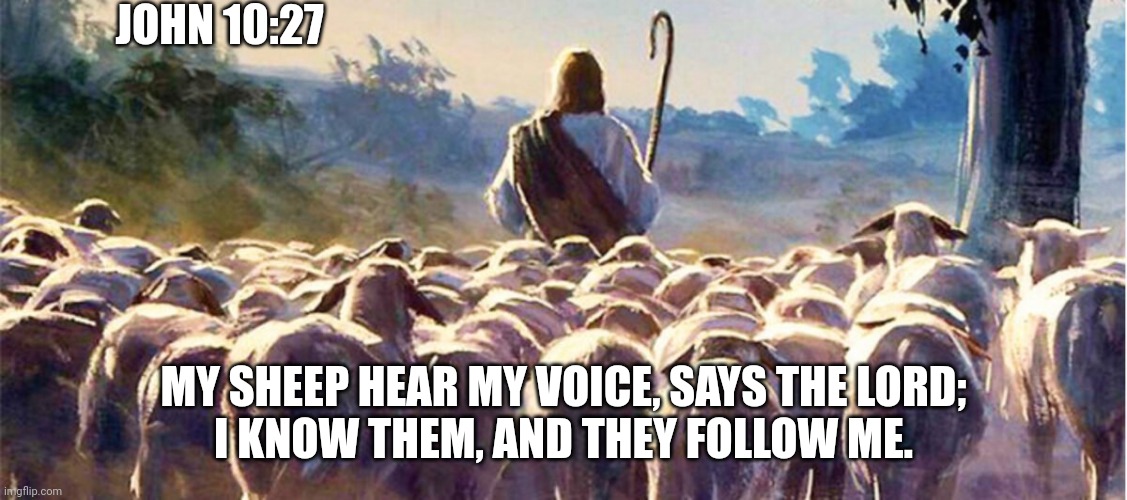 My sheep | JOHN 10:27; MY SHEEP HEAR MY VOICE, SAYS THE LORD;
I KNOW THEM, AND THEY FOLLOW ME. | image tagged in jesus,sheep,followers,catholic,christians,bible | made w/ Imgflip meme maker