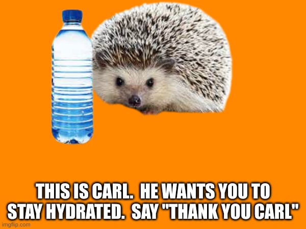 THIS IS CARL.  HE WANTS YOU TO STAY HYDRATED.  SAY "THANK YOU CARL" | made w/ Imgflip meme maker