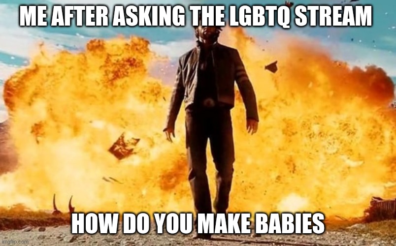 Guy Walking Away From Explosion | ME AFTER ASKING THE LGBTQ STREAM; HOW DO YOU MAKE BABIES | image tagged in guy walking away from explosion | made w/ Imgflip meme maker
