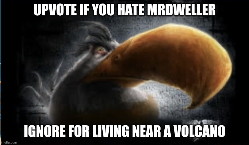 Realistic Mighty Eagle | UPVOTE IF YOU HATE MRDWELLER; IGNORE FOR LIVING NEAR A VOLCANO | image tagged in realistic mighty eagle | made w/ Imgflip meme maker