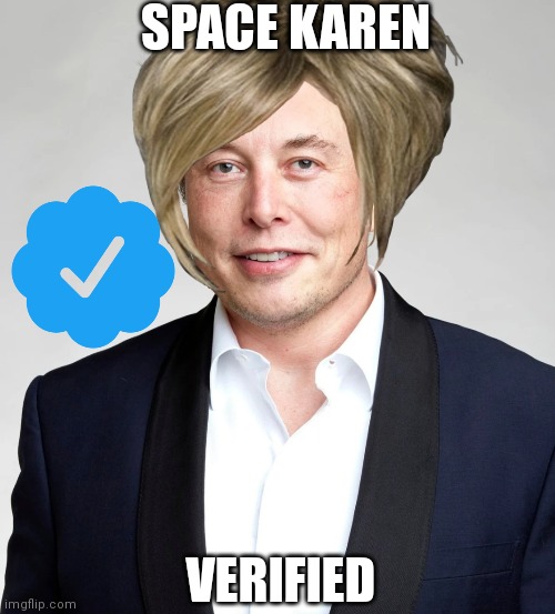 Space karen | SPACE KAREN; VERIFIED | image tagged in elon musk,mega karen,twitter | made w/ Imgflip meme maker