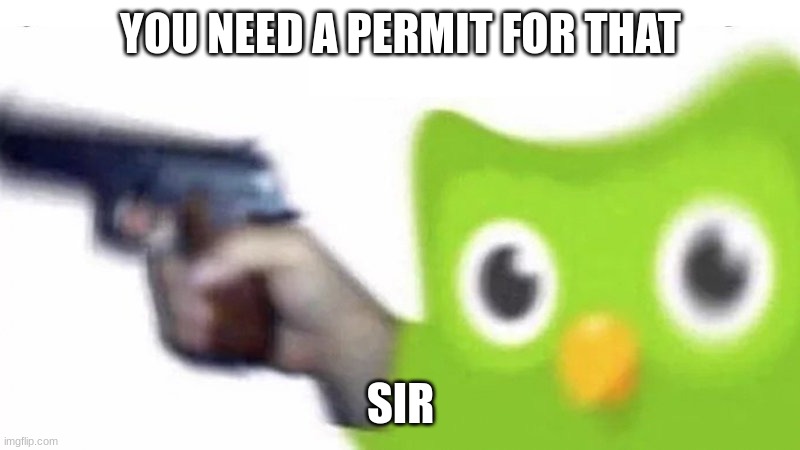 duolingo gun | YOU NEED A PERMIT FOR THAT SIR | image tagged in duolingo gun | made w/ Imgflip meme maker