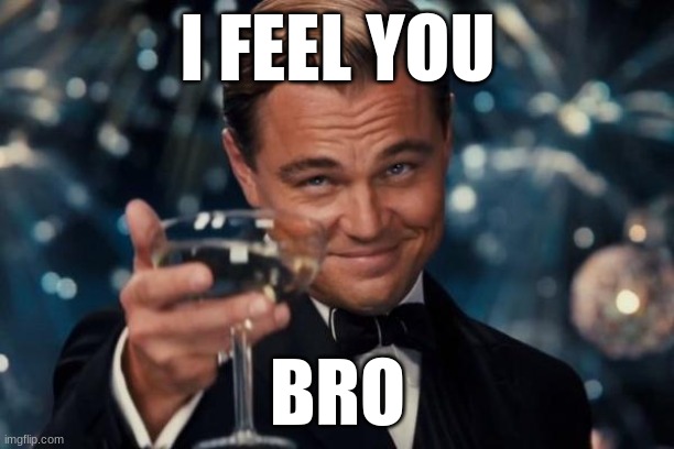 Leonardo Dicaprio Cheers Meme | I FEEL YOU BRO | image tagged in memes,leonardo dicaprio cheers | made w/ Imgflip meme maker