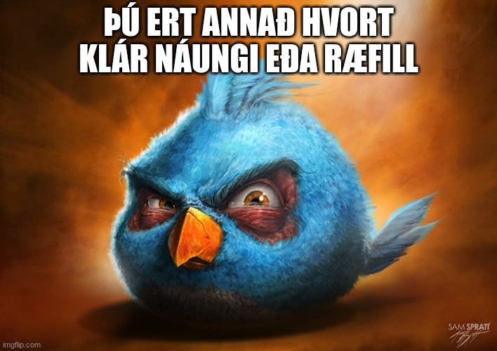 Icelandic Language. | ÞÚ ERT ANNAÐ HVORT KLÁR NÁUNGI EÐA RÆFILL | image tagged in angry birds blue | made w/ Imgflip meme maker