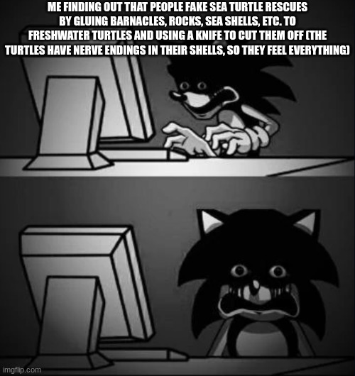 Sonic looks at computer and regrets | ME FINDING OUT THAT PEOPLE FAKE SEA TURTLE RESCUES BY GLUING BARNACLES, ROCKS, SEA SHELLS, ETC. TO FRESHWATER TURTLES AND USING A KNIFE TO CUT THEM OFF (THE TURTLES HAVE NERVE ENDINGS IN THEIR SHELLS, SO THEY FEEL EVERYTHING) | image tagged in sonic looks at computer and regrets | made w/ Imgflip meme maker