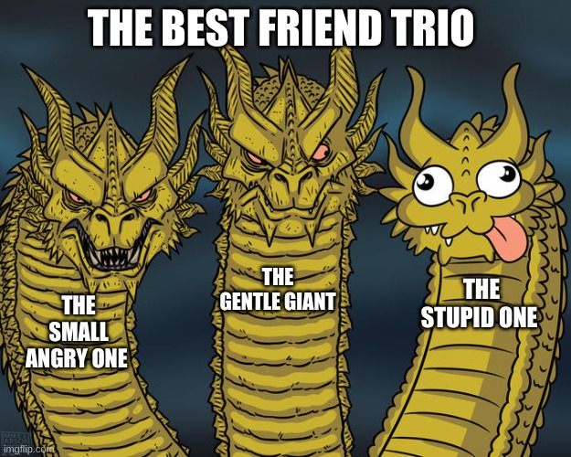 the best friend group | THE BEST FRIEND TRIO; THE GENTLE GIANT; THE STUPID ONE; THE SMALL ANGRY ONE | image tagged in three-headed dragon | made w/ Imgflip meme maker